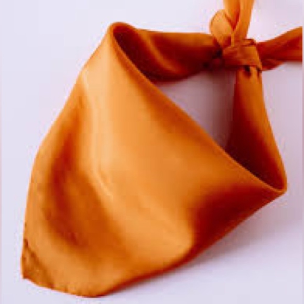 Namjosh Satin Headscarf Bandana Neckerchief NWT Gold